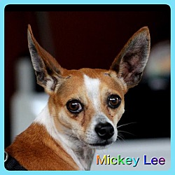 Thumbnail photo of Mickey Lee #1