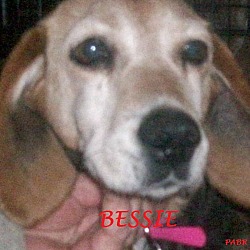 Thumbnail photo of BESSIE #2
