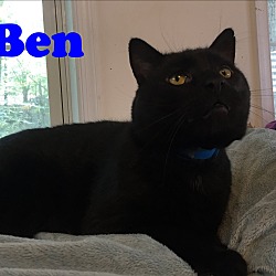 Thumbnail photo of Ben III #2