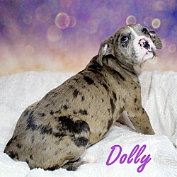 Thumbnail photo of Dolly ~ meet me! #2