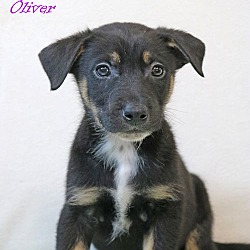 Thumbnail photo of Oliver Crystal #2