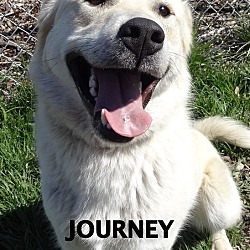 Thumbnail photo of Journey-AWESOME boy! #2