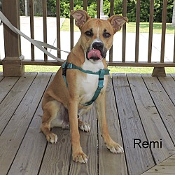 Thumbnail photo of Remi #4