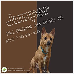 Thumbnail photo of Jumper #1