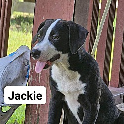 Thumbnail photo of Jackie #3