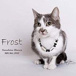 Thumbnail photo of Frost #1