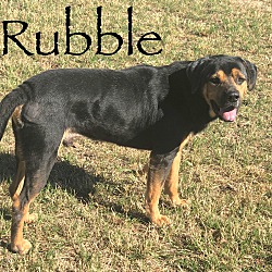 Thumbnail photo of Rubble #2