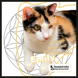 Thumbnail photo of Emily #1