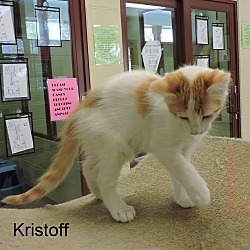 Thumbnail photo of Kristoff #3
