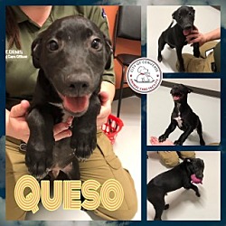 Photo of Queso