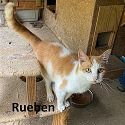 Photo of Rueben