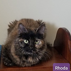 Photo of Rhoda