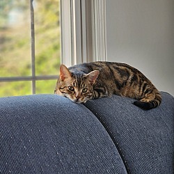 Photo of Rai