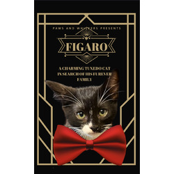 Photo of Figaro