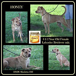 Thumbnail photo of Honey (Photos 9/10/2024) #1