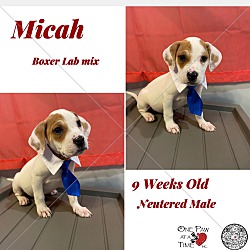 Photo of Micah
