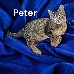 Thumbnail photo of Peter #1