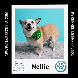 Photo of Nellie 020324