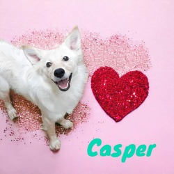 Photo of Casper