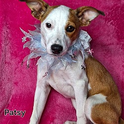 Photo of Patsy