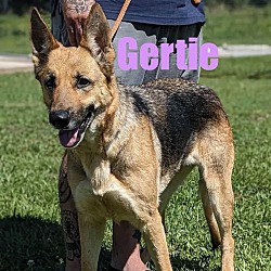 Photo of Gertie