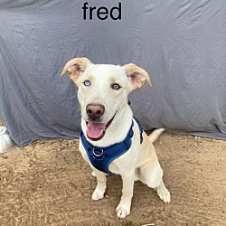 Photo of fred