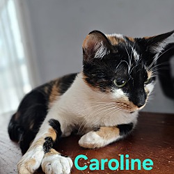 Photo of Caroline