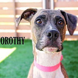 Thumbnail photo of Dorothy (Dottie) #2