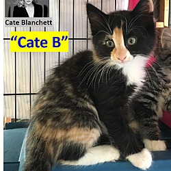 Thumbnail photo of Cate B #1