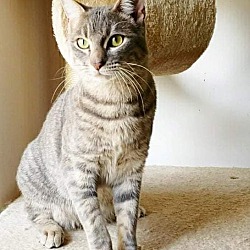 Thumbnail photo of Wallace #4