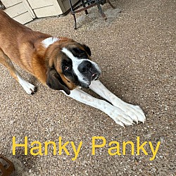 Thumbnail photo of Hanky Panky #3