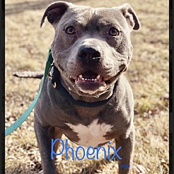 Photo of Phoenix