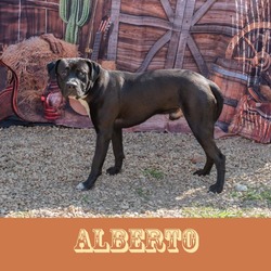 Thumbnail photo of Alberto #1