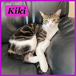 Thumbnail photo of Kiki #1