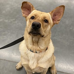 Photo of Ruff Ruff