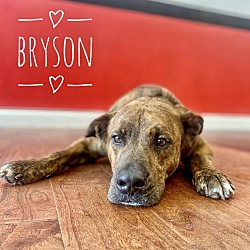 Thumbnail photo of Bryson #4
