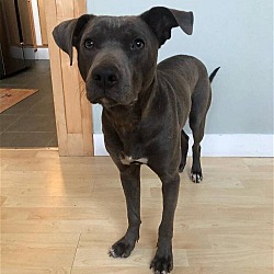 Photo of Buddy Boy