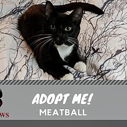 Thumbnail photo of Meatball #3