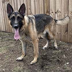 Photo of Jax