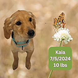 Thumbnail photo of Kaia #1