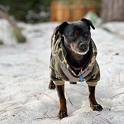Thumbnail photo of Sonny #3
