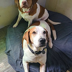 Photo of Sugar