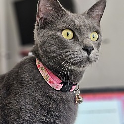 Photo of Rosie