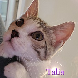 Thumbnail photo of Talia #4