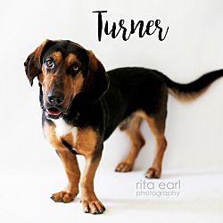 Photo of Turner
