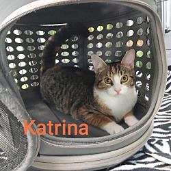 Thumbnail photo of Katrina #4