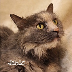 Thumbnail photo of Janis #1