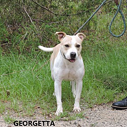 Thumbnail photo of Georgetta #3