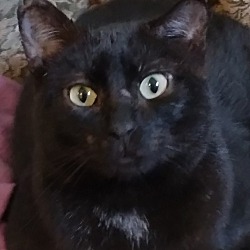 Photo of Clayton