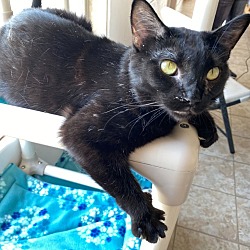 Photo of Ruby